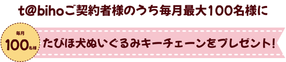 たびほ犬ぬいぐるみをプレゼント！