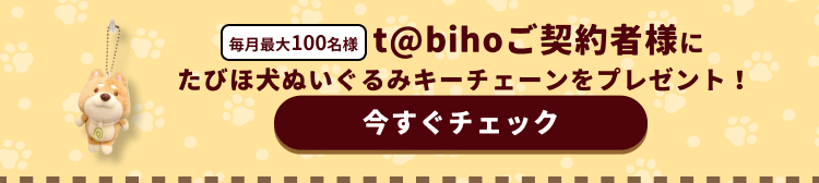 たびほ犬ぬいぐるみをプレゼント！