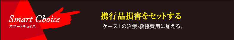 スマートチョイス 携行品損害をセットする ケース1の治療・救援費用に加える。