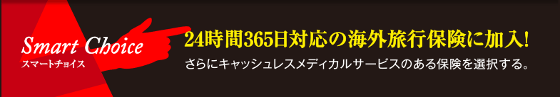 スマートチョイス 24時間365日対応の海外旅行保険に加入！ さらにキャッシュレスメディカルサービスのある保険を選択する。