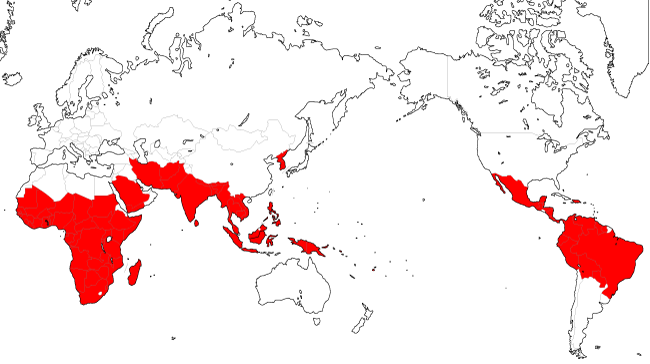 マラリア流行マップ